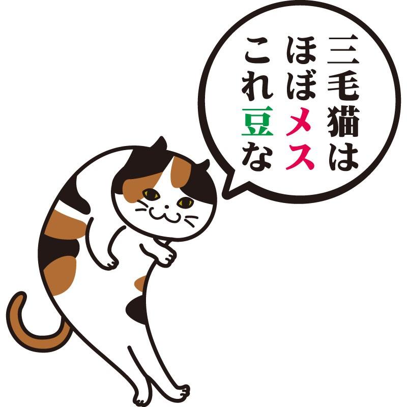 おもしろｔシャツ 文字 ジョーク パロディ 三毛猫はほぼメス 雑学披露するネコ かわいい 猫 イラスト 面白 半袖tシャツ メンズ レディース キッズ Cat Mike 南堀江のおもしろtシャツ 通販 Yahoo ショッピング