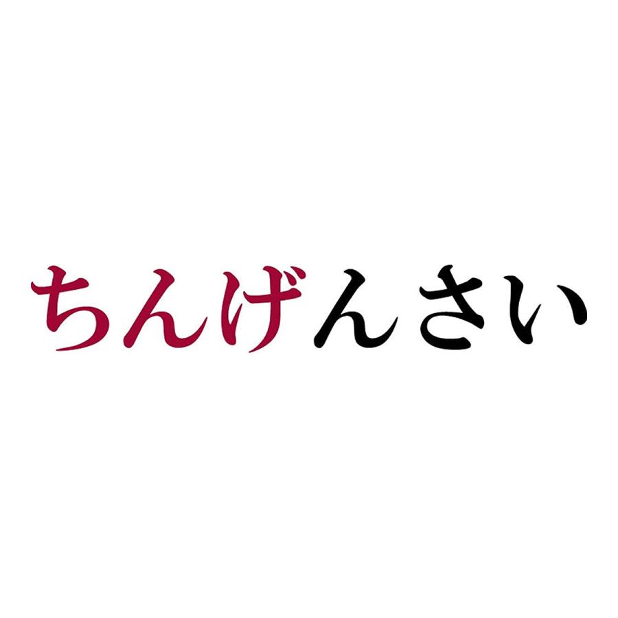 おもしろｔシャツ メンズ レディース キッズ 面白 ちんげんさい 文字 ジョーク パロディ ひらがな 日本語 半袖Tシャツ ふざけ ネタ 変な プレゼント 90cm｜minamihorie｜03