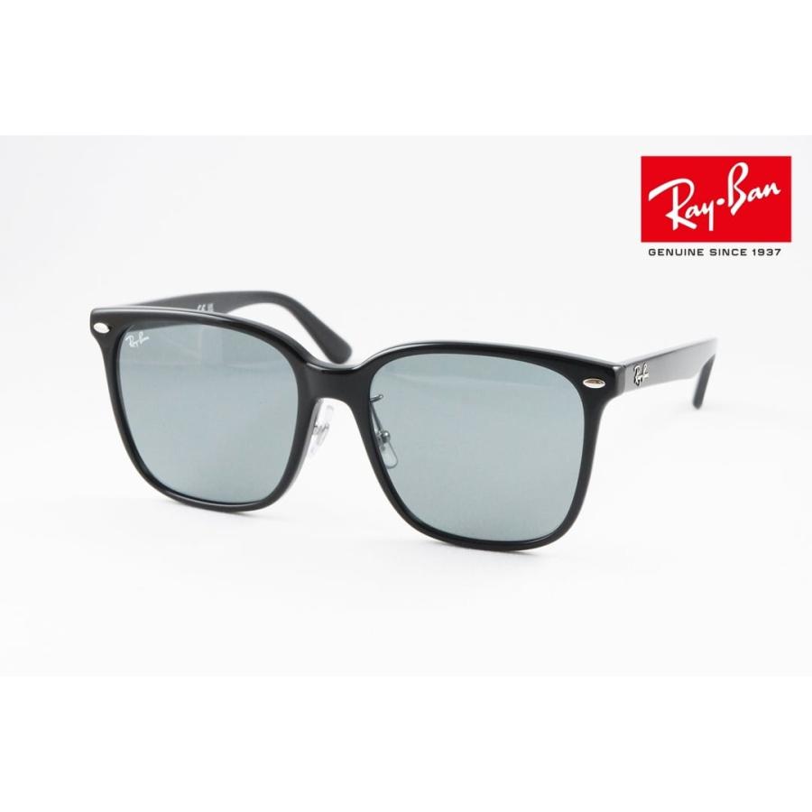 極美品☆Ray-Ban・レイバン・サングラス RB2206D レイバン公式ストア】 Ray-Ban® RB2206D サングラス | ブラック
