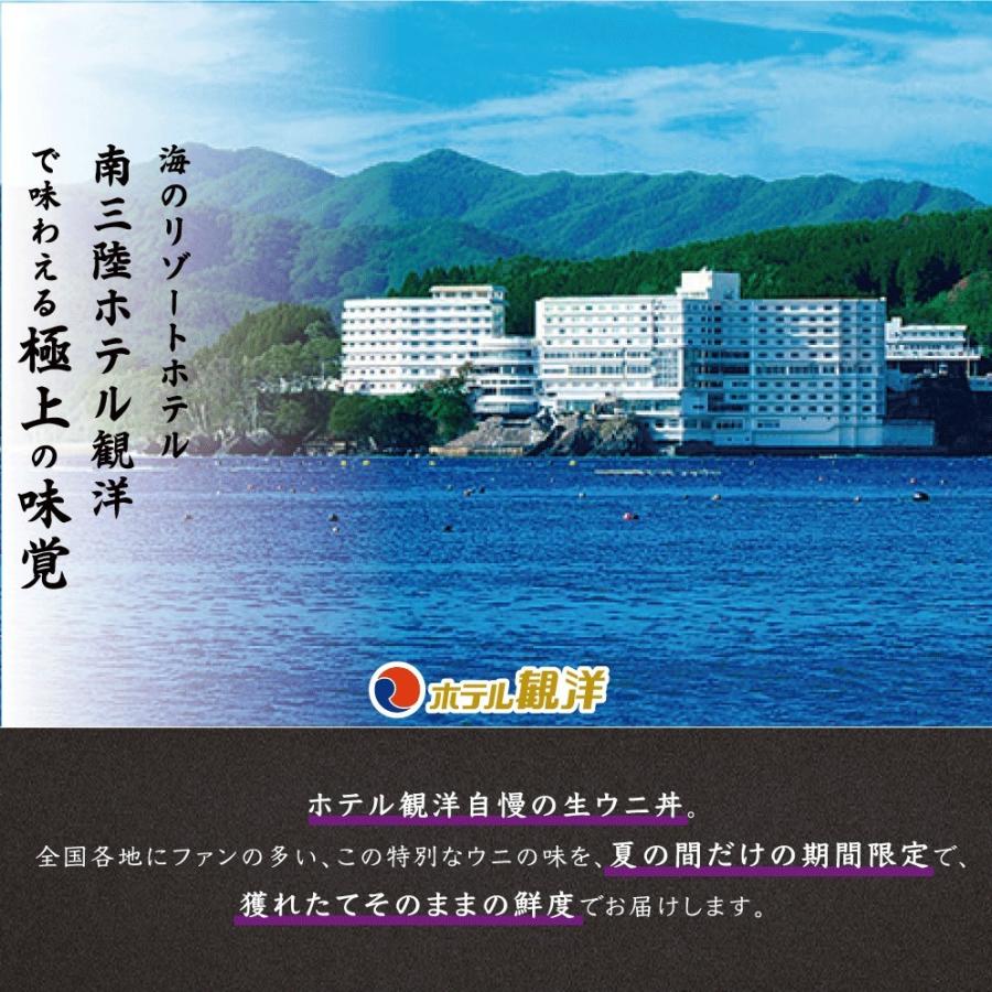公式ストア 宮城県産 生うに 160g 塩水パック ミョウバン不使用 ムラサキウニ 80g 2パック 南三陸 キラキラ ウニ丼 ウニ 送料無料 お取り寄せ グルメ Materialworldblog Com