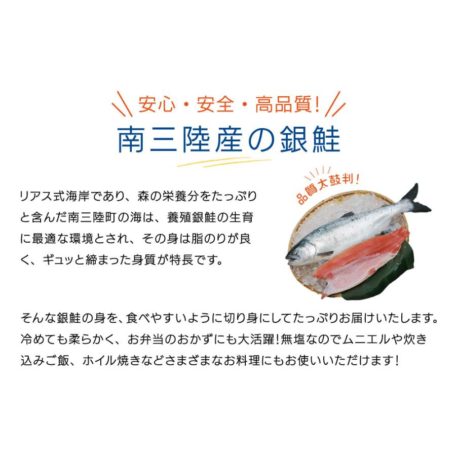 阿部長商店 訳あり 銀鮭 切身 約2.2kg 無塩 南三陸産 宮城県 不揃い 鮭