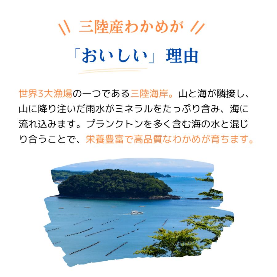 わかめ ワカメ 三陸産 おさしみわかめ 100g 1パック 塩蔵わかめ