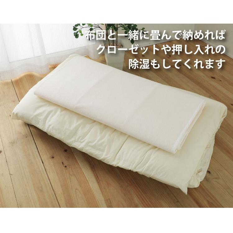 洗える除湿マット スタンダード シングル 日本製さらっとファイン 高級放湿繊維モイスファイン カビ防止 佐川急便対応(除湿スタンダードS★70001★)