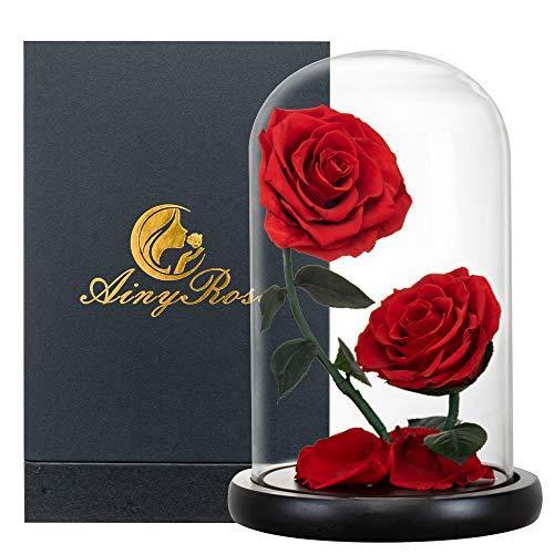 【セール】 Glass in Rose Infinity - Rose Preserved Head Flower Double Dome (#red)【並 Her/Mom for Gifts Romantic - Rose Beauty Fresh Real from Made - オブジェ、置き物