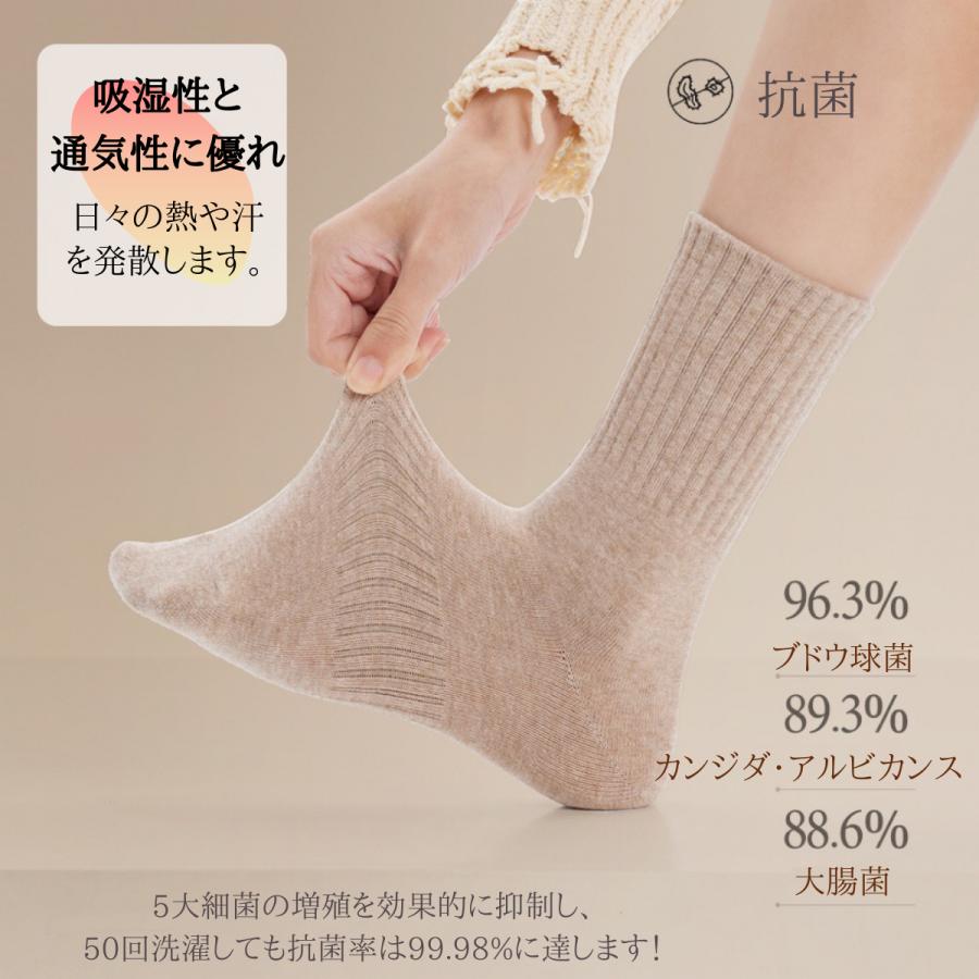 靴下 ソックス 3足セット レディース クルーソックス 綿100