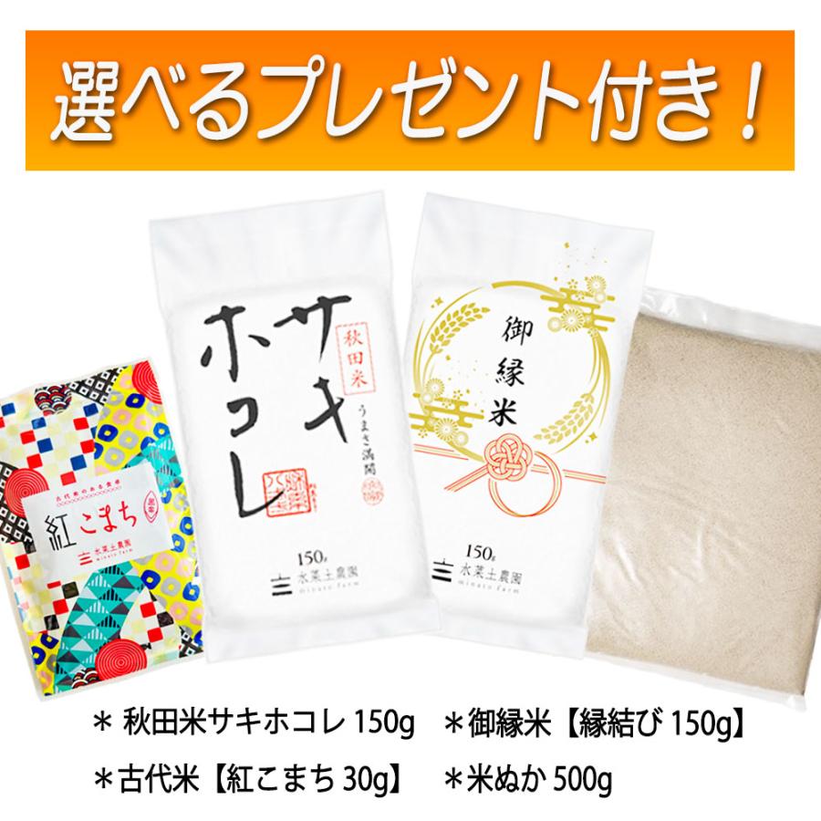 （選べるプレゼント付き）米 お米 米10kg （5kg×2袋） 玄米 あきたこまち 令和5年産 秋田県産 農家直送｜minato-farm｜02