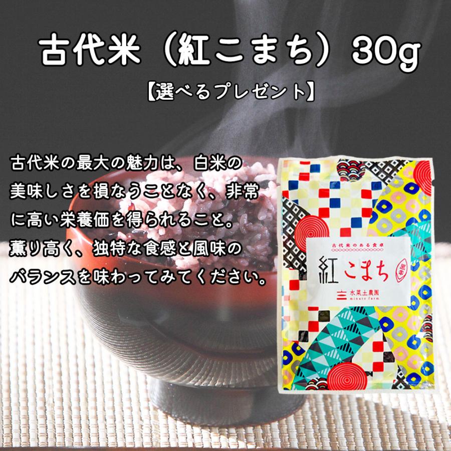 （選べるプレゼント付き）米 お米 米10kg （5kg×2袋） 玄米 あきたこまち 令和5年産 秋田県産 農家直送｜minato-farm｜05