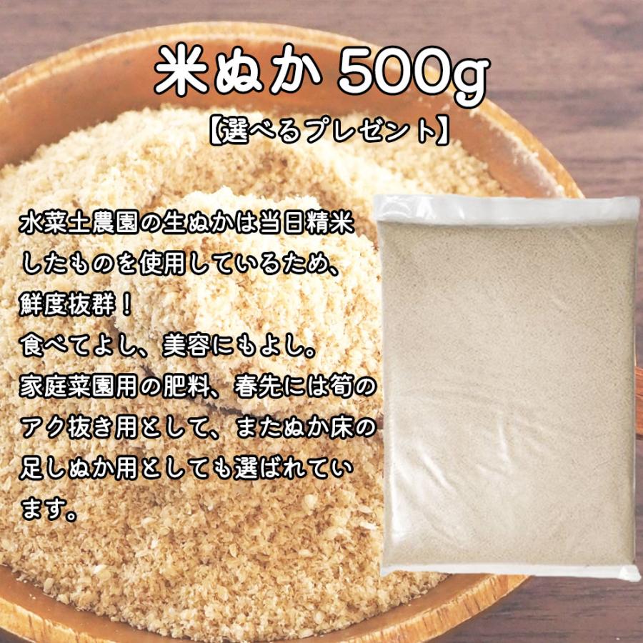 （選べるプレゼント付き）米 お米 米10kg （5kg×2袋） 玄米 あきたこまち 令和5年産 秋田県産 農家直送｜minato-farm｜06