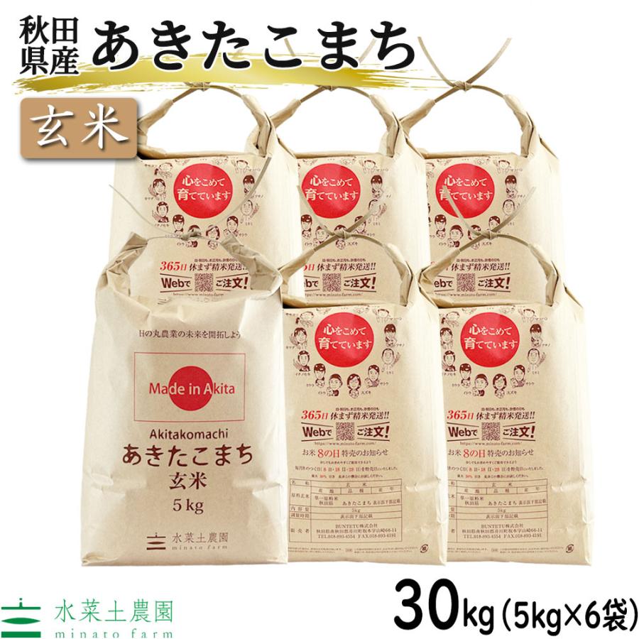あきたこまち お米 米 30kg (5kg×6袋) 玄米 秋田県産 農家直送 あきたこまち お米 米 30kg (5kg×6袋) 玄米 秋田県産 農家直送