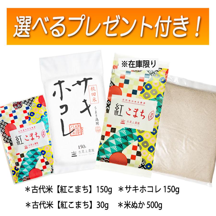 あきたこまち お米 米 玄米 30kg（5kg×6袋）秋田県産 農家直送（選べる