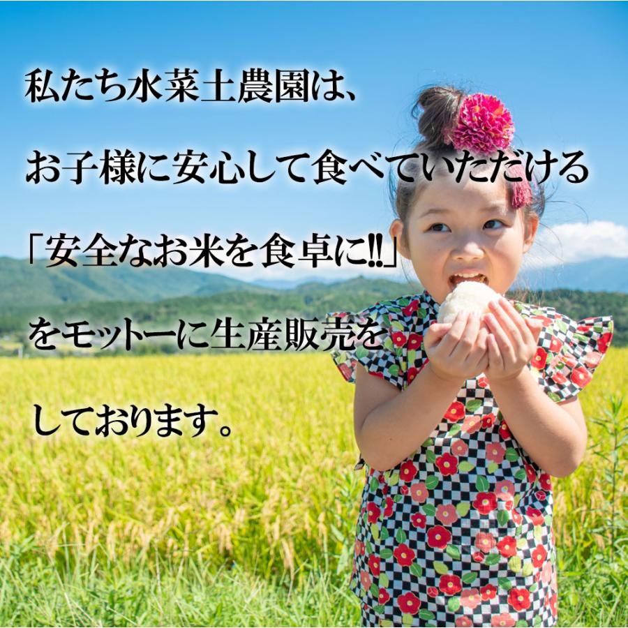 米 お米 米5kg 玄米 あきたこまち 令和5年産 秋田県産 農家直送 古代米お試し袋付き｜minato-farm｜04