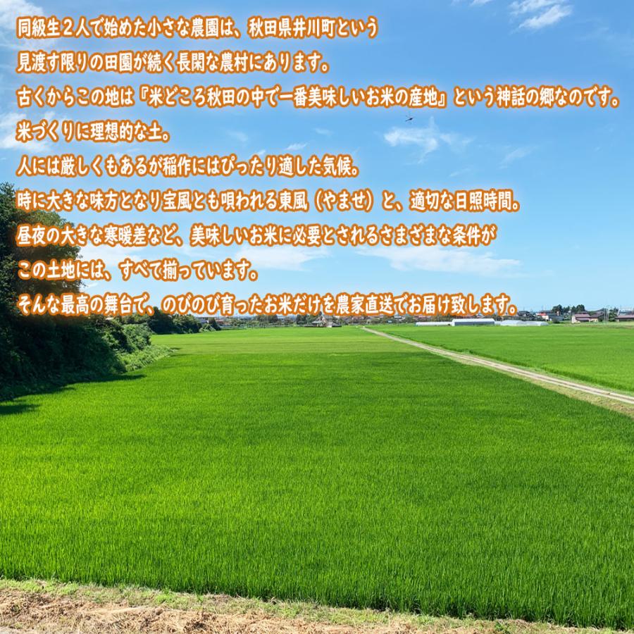 米 お米 米5kg 玄米 あきたこまち 令和5年産 秋田県産 農家直送 古代米お試し袋付き｜minato-farm｜02