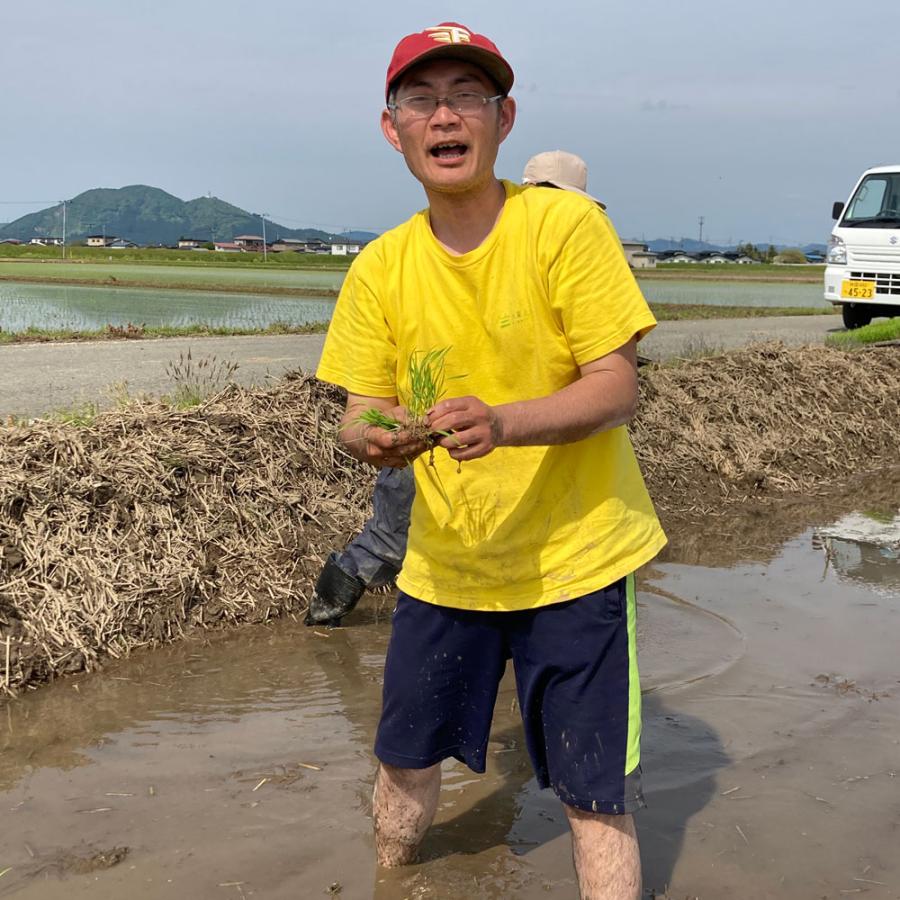 米 お米 米5kg 玄米 あきたこまち 令和5年産 秋田県産 農家直送 古代米お試し袋付き｜minato-farm｜09