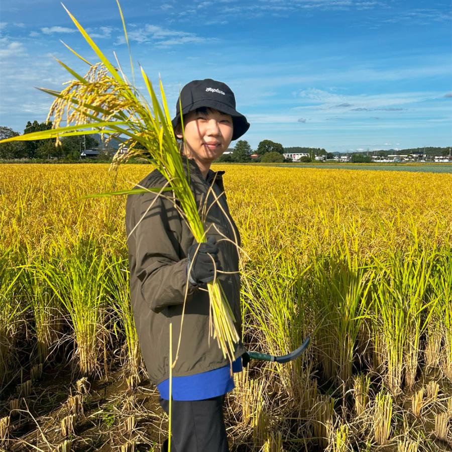 ひとめぼれ 【秋田県産】米 お米 精米 5kg 白米 古代米お試し袋付き 令