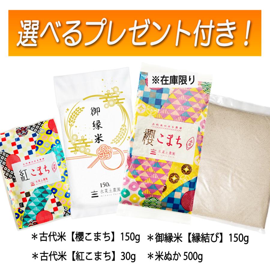 あきたこまち 米 お米 米10kg （5kg×2袋） 無洗米 秋田県産 農家直送