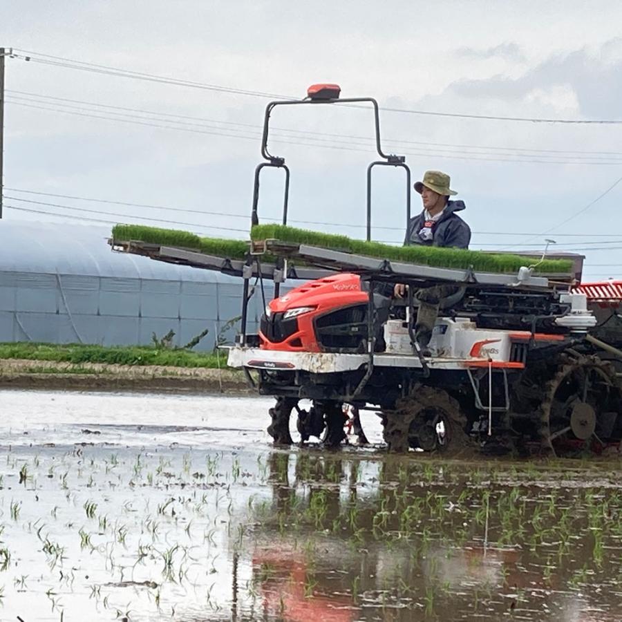 米 お米 あきたこまち 無洗米 20kg（5kg×4袋）秋田県産 農家直送（選べるプレゼント付き） 令和7年産 | あきたこまち | 14