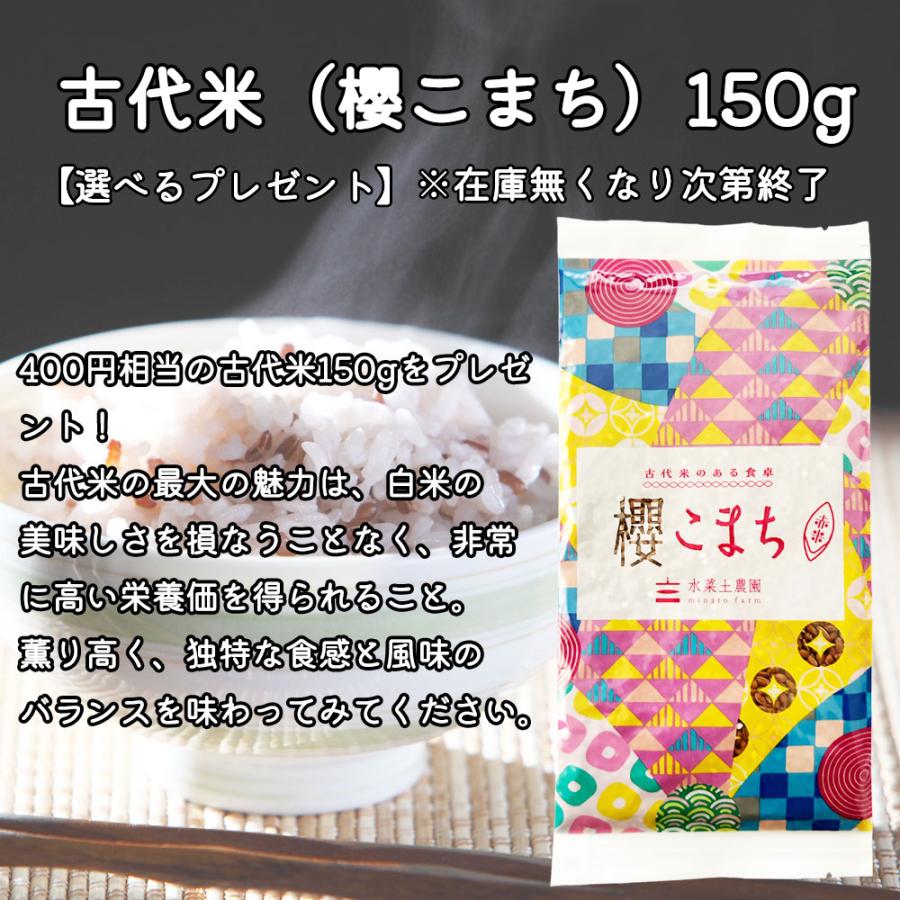 あきたこまち 新米 令和7年産 米 お米 25kg （5kg×5袋） 無洗米