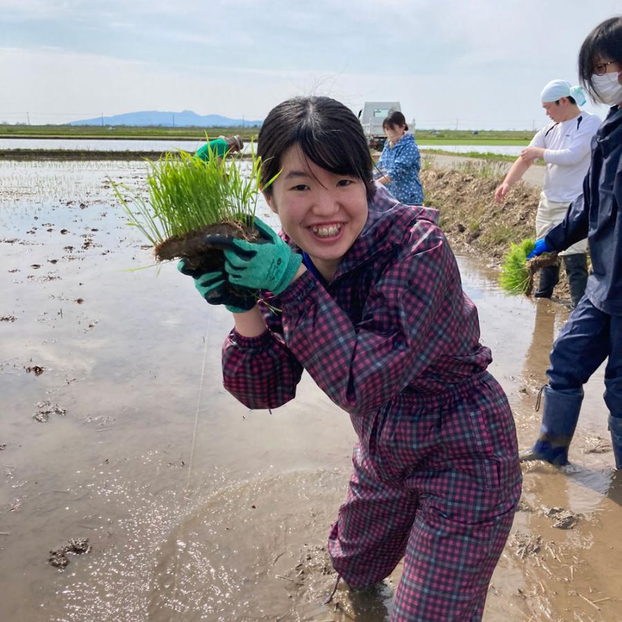 米 お米 米5kg 無洗米 あきたこまち 令和5年産 秋田県産 農家直送 古代米お試し袋付き｜minato-farm｜10