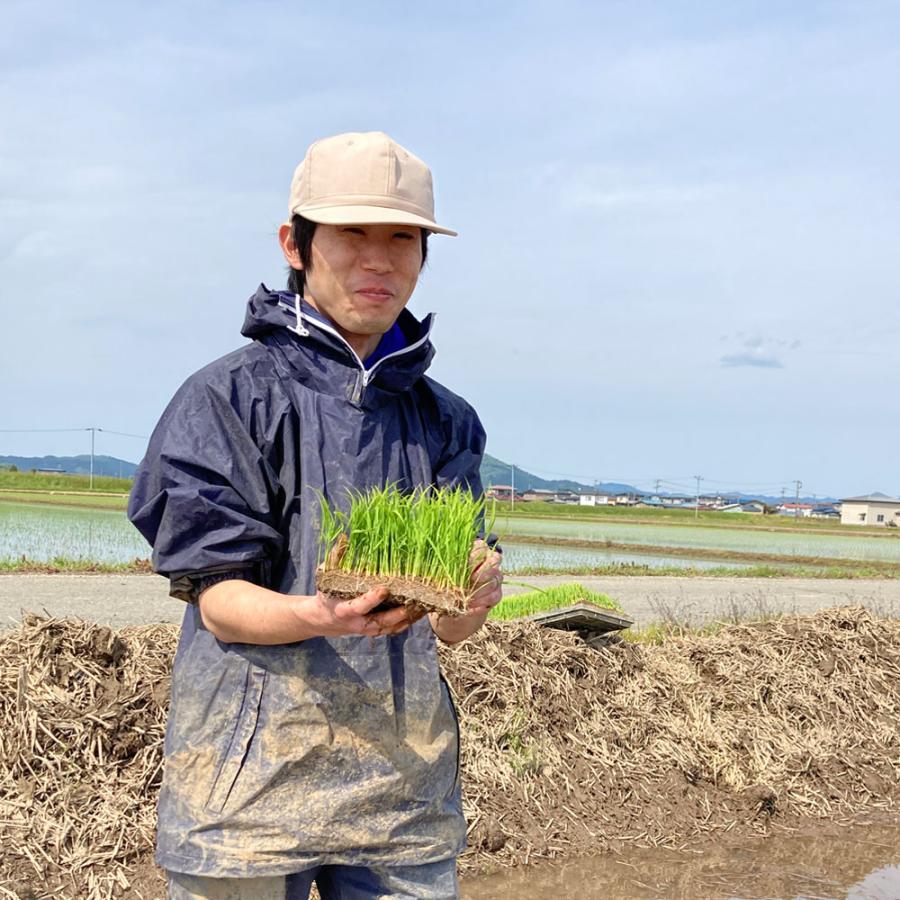 あきたこまち 新米 令和7年産 米 お米 15kg （5kg×3袋） 秋田県