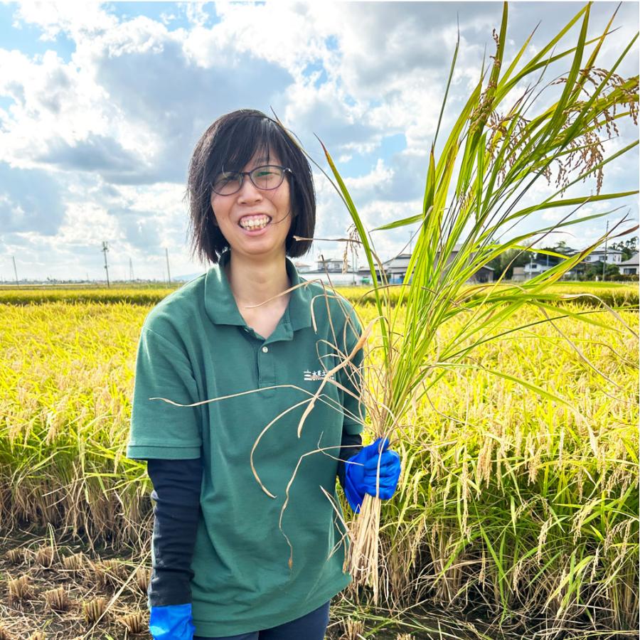 米 お米 米5kg あきたこまち 白米 精米 令和5年産 秋田県産 農家直送 古代米お試し袋付き｜minato-farm｜12