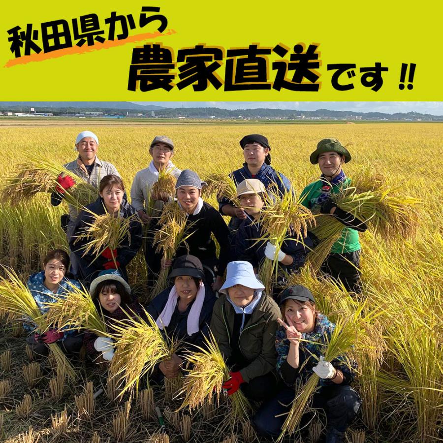 新米 令和4年産 あきたこまち 900g 精米 白米 お米 米 秋田県産 農家直送 古代米お試し袋付き|minato-farm|09