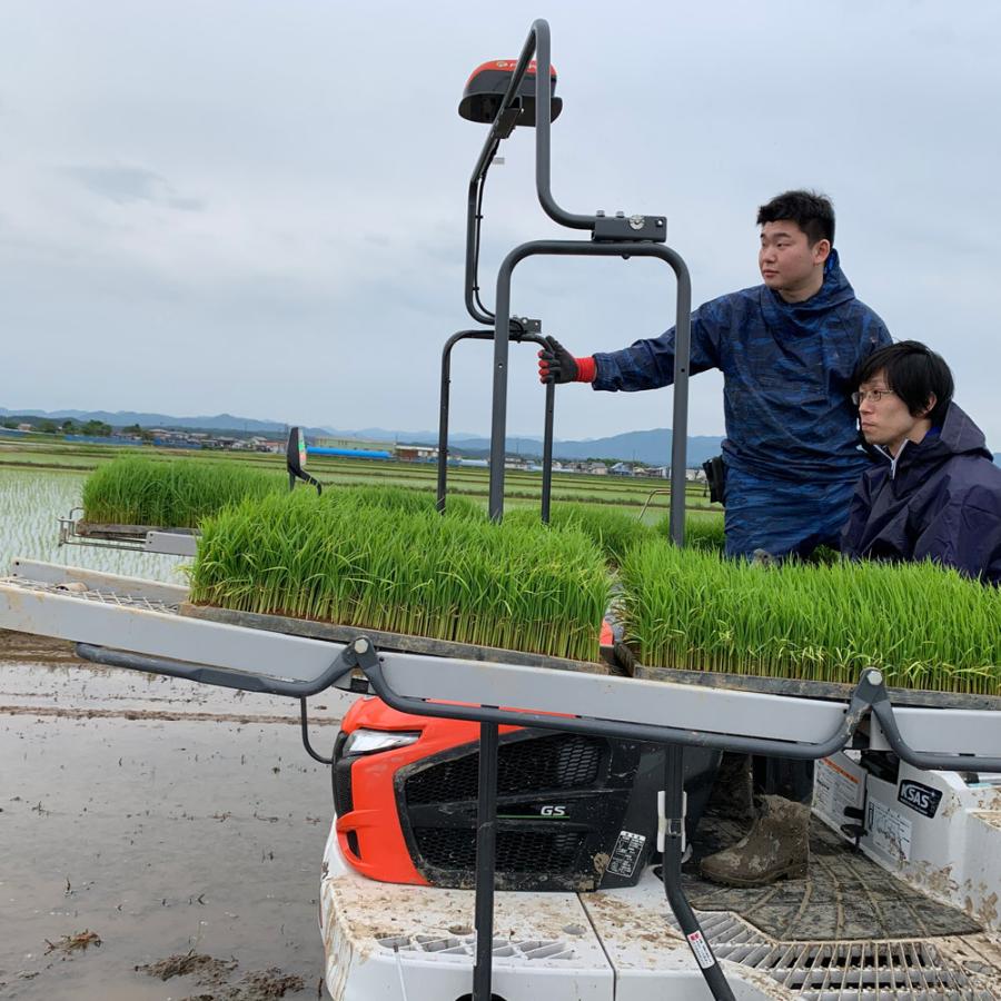 米 お米 米10kg セット 食べ比べ （ 秋田県産 あきたこまち 5kg & 宮城県産 ひとめぼれ 5kg ）白米 精米 選べるプレゼント付き 令和6年産 |  | 16