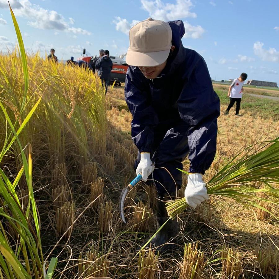 米 お米 米10kg セット 食べ比べ （ 秋田県産 あきたこまち 5kg & 宮城県産 ひとめぼれ 5kg ）白米 精米 選べるプレゼント付き 令和6年産 |  | 11