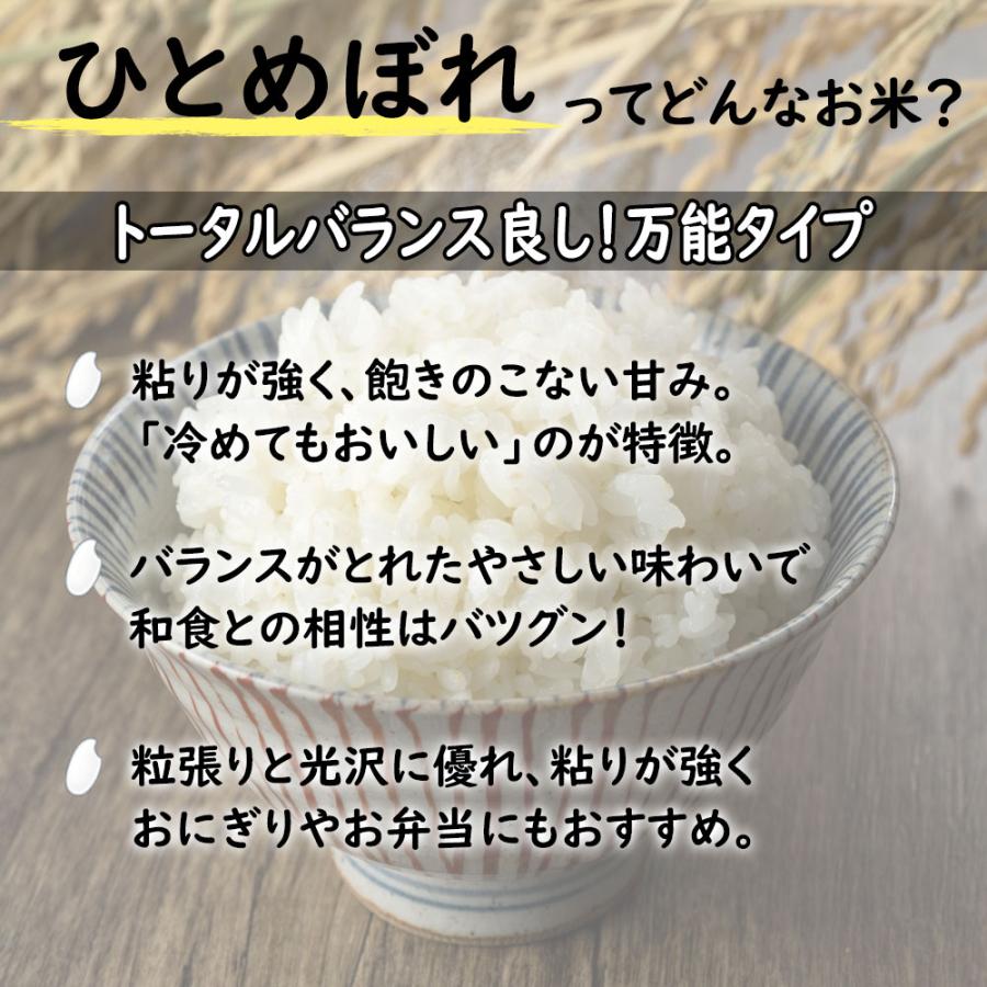 ひとめぼれ 米 お米 玄米 10kg （5kg×2袋） 宮城県産（選べるお試し袋