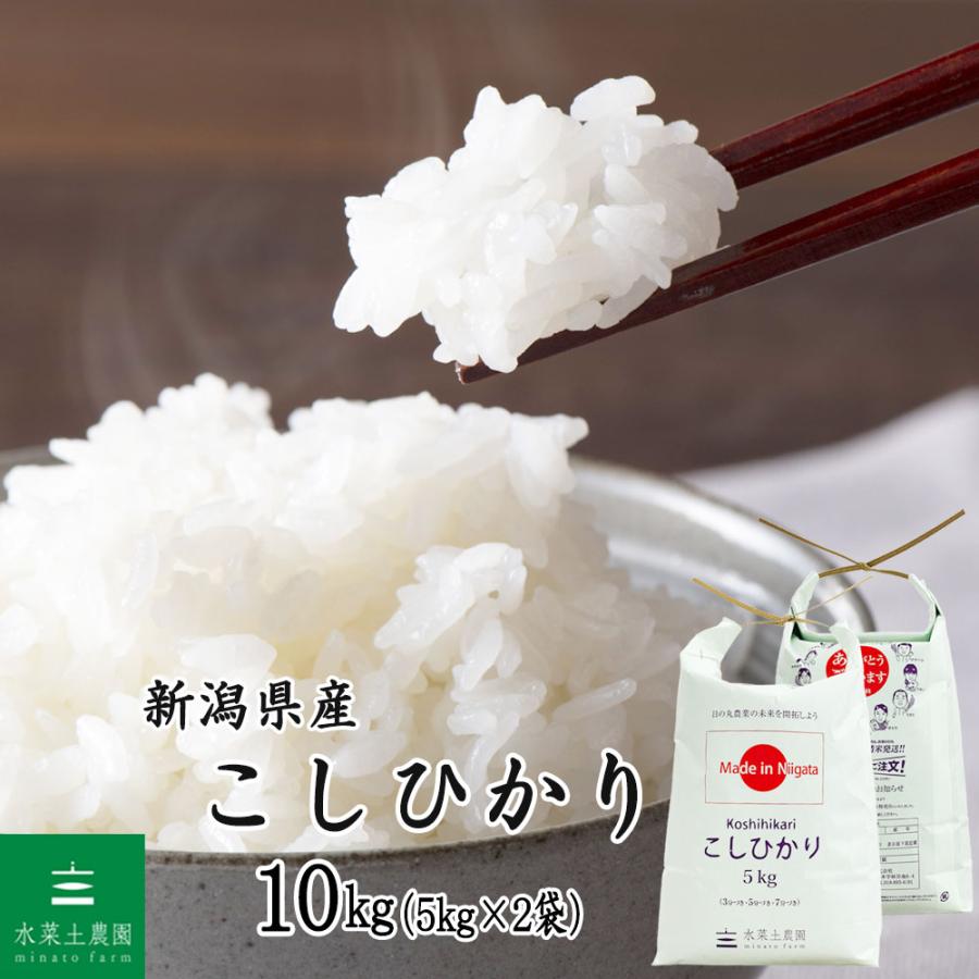 コシヒカリ 米 お米 こしひかり 精米 10kg （5kg×2袋） 新潟県産
