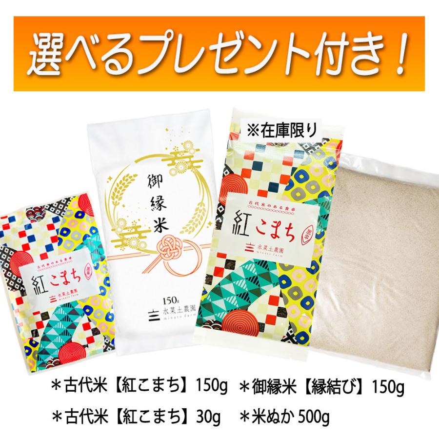コシヒカリ 米 お米 こしひかり 精米 15kg （5kg×3袋） 白米 新潟県産