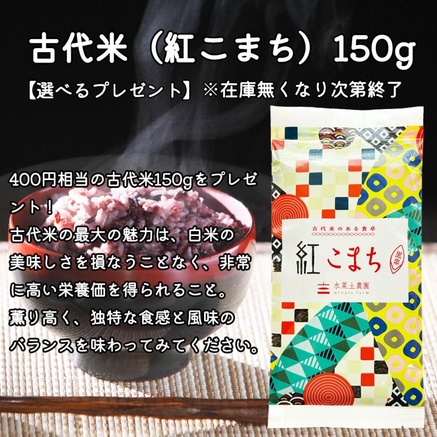 米 お米 こしひかり 精米 25kg （5kg×5袋） 白米 新潟県産（選べるプレゼント付き） 令和7年産_2