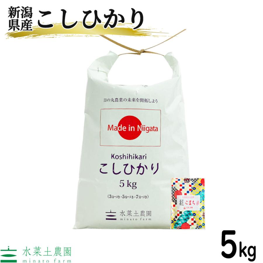 米 お米 米5kg こしひかり 精米 令和5年産 新潟県産 古代米お試し袋