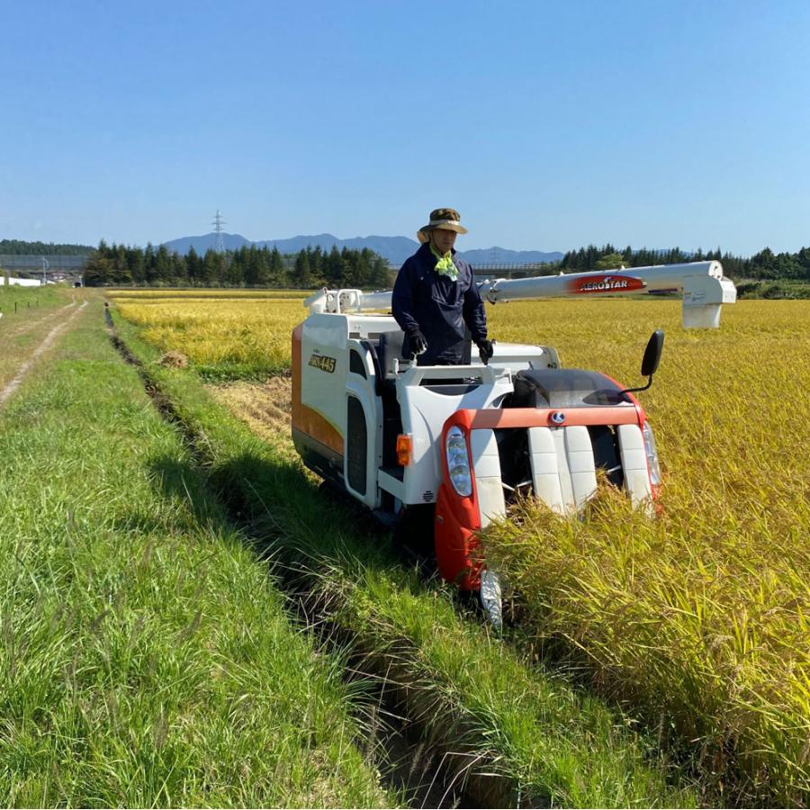 新米 令和4年産 まっしぐら 5kg 精米 白米 お米 米 青森県産 古代米お試し袋付き|minato-farm|06