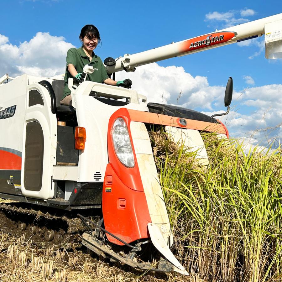 秋田県産　ミルキークイーン　10k 農家直送　R6年産 ミルキークイーン お米 米 2kg 白米 精米 秋田県産 農家直送 令