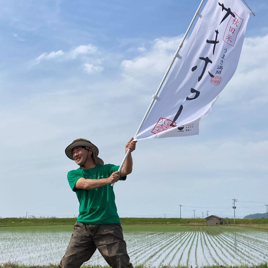 米 お米 米4kg 白米 精米 セット 食べ比べ （ 秋田県産 サキホコレ 2kg