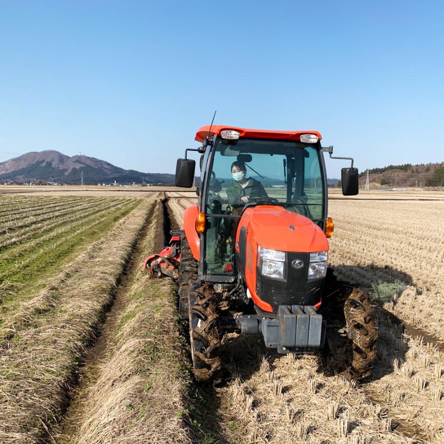 米 お米 青天の霹靂 2kg 精米 白米 青森県産 古代米お試し袋付き 令和7年産 |  | 01