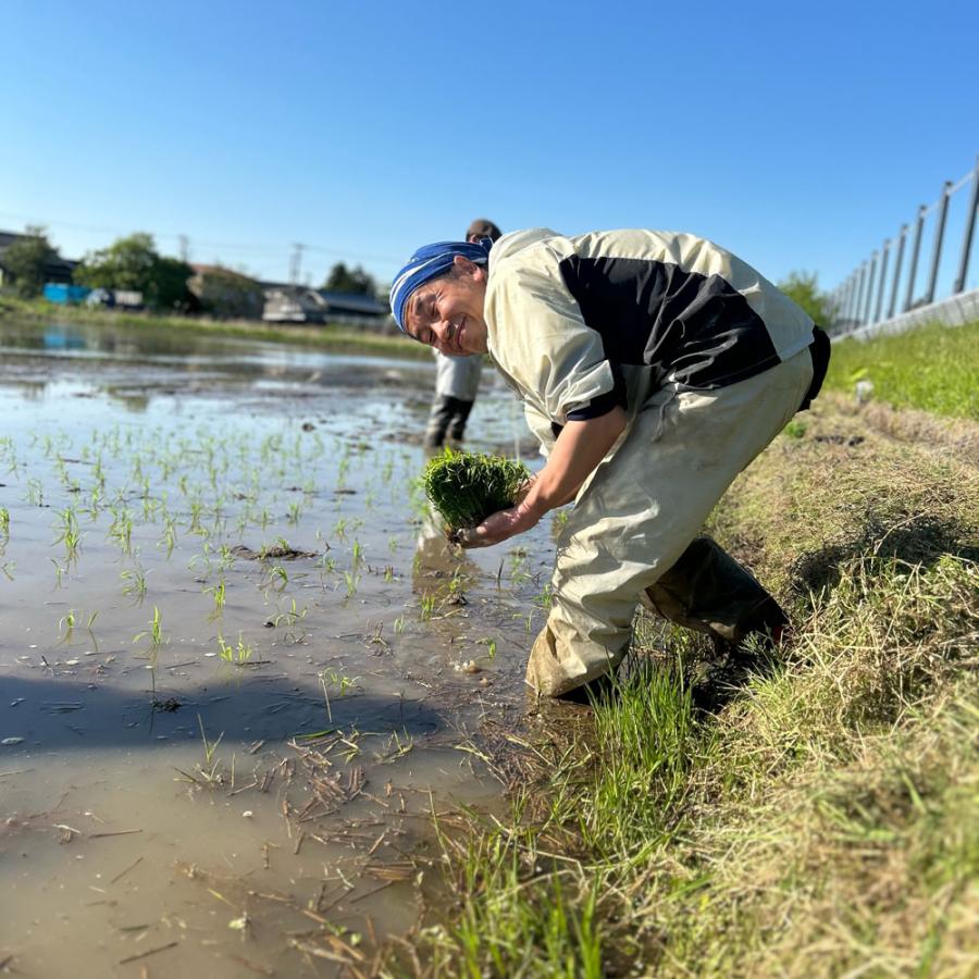 米 お米 青天の霹靂 精米 5kg 白米 青森県産 古代米お試し袋付き 令和7年産 |  | 04