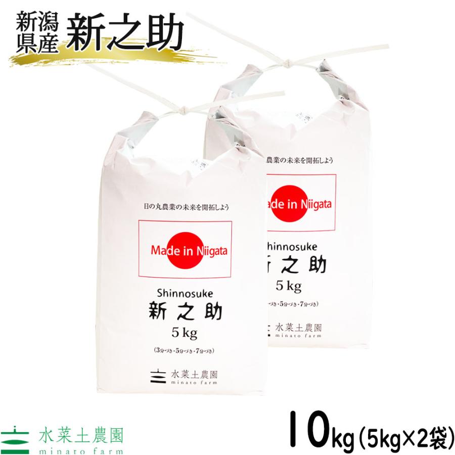 米 お米 新之助 精米 10kg （5kg×2袋） 白米 新潟県産（選べるプレゼント付き）令和7年産 | 新之助