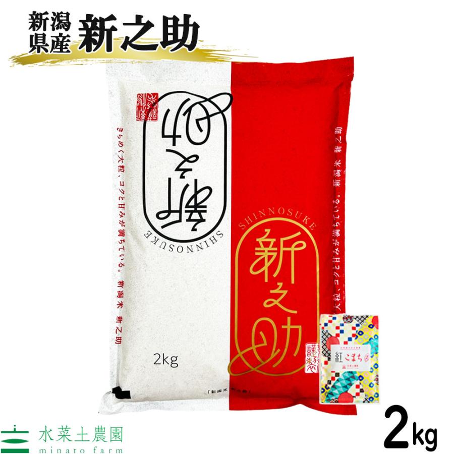 新之助（しんのすけ） 米 お米 精米 2kg 白米 令和7年産 新潟県産 古代米お試し袋付き : 水菜土農園(みなとのうえん) - 通販 ...