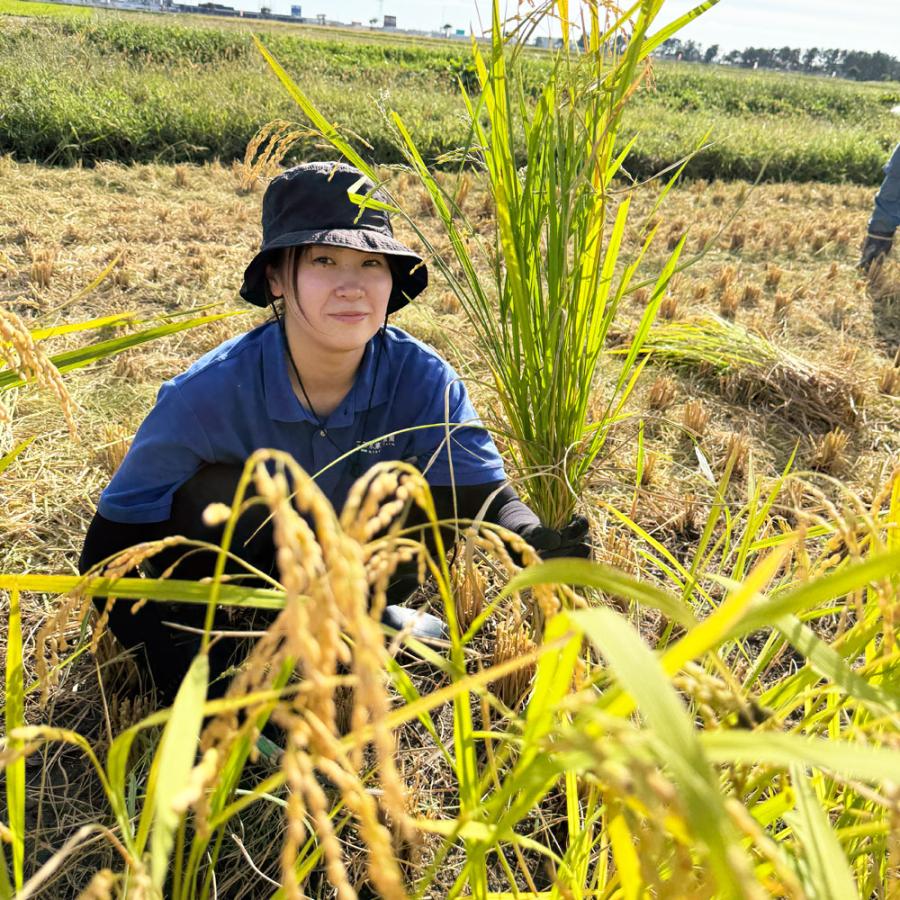 生活応援米 米 お米 ゆめおばこ 精米 10kg（5kg×2袋）秋田県産 白米 農家直送 古代米お試し袋付き 令和7年産 |  | 06