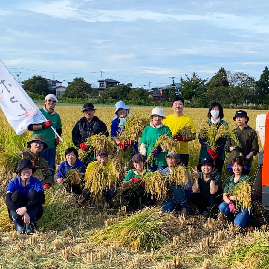 生活応援米 米 お米 ゆめおばこ 精米 10kg（5kg×2袋）秋田県産 白米 農家直送 古代米お試し袋付き 令和7年産 |  | 08