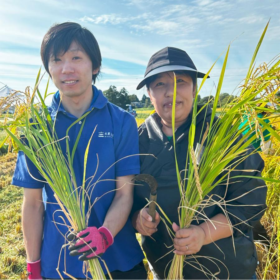 生活応援米 米 お米 ゆめおばこ 精米 5kg 白米 秋田県産 農家直送 古代米お試し袋付き 令和7年産 |  | 07