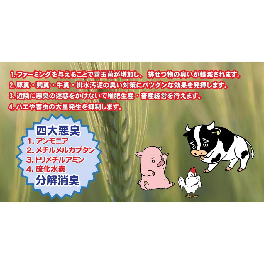 ファーミングパウダー　パイナップル果汁粉末混合飼料　A飼料　1kg |  | 01