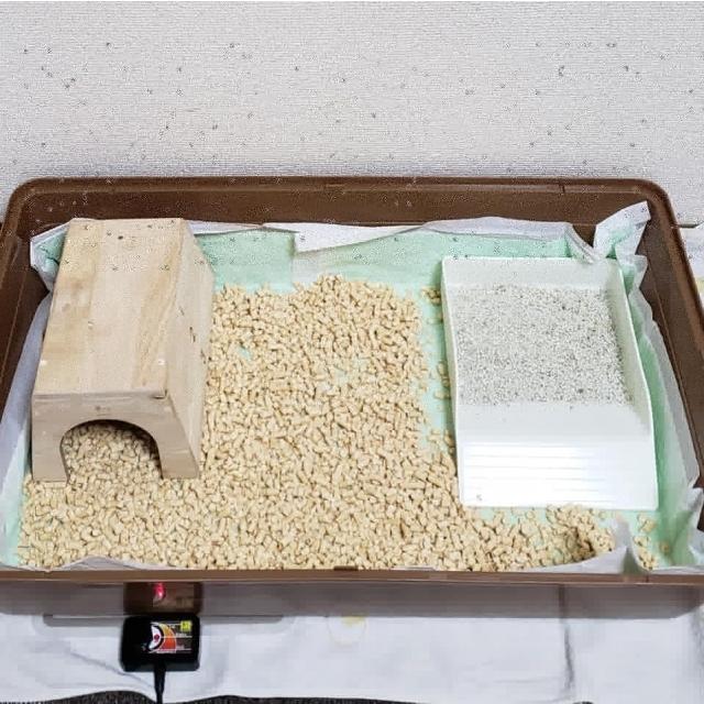 天然 除菌 消臭 パウダー くんくんクリーン ハリネズミ 用 130ｇ 通販 |  | 05