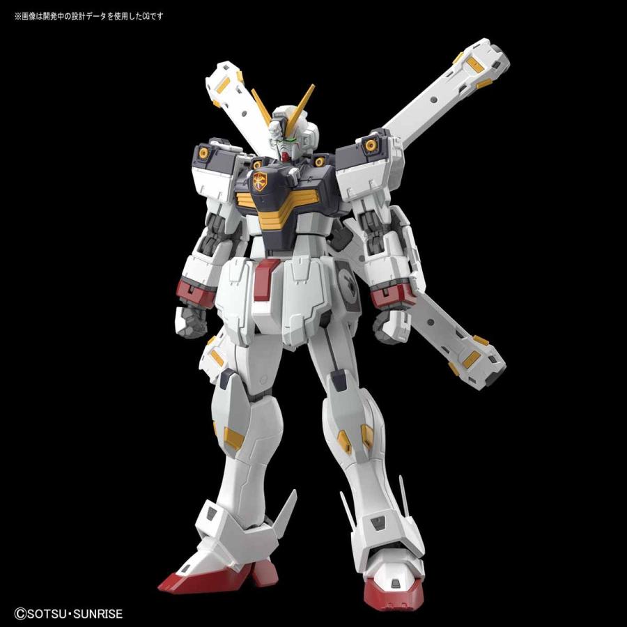 BANDAI RG 31 1/144 クロスボーン・ガンダムX1 バンダイ BANDAI RG 31 1/144 クロスボーン・ガンダムX1 バンダイ