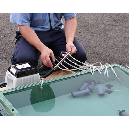 メール便】エアー分散器 10方分岐 (エアーポンプに簡単取り付け) [エア