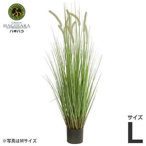 ハギハラ 人工観葉植物 キャッツテールグラス #1712 (L/153cm) [人工 