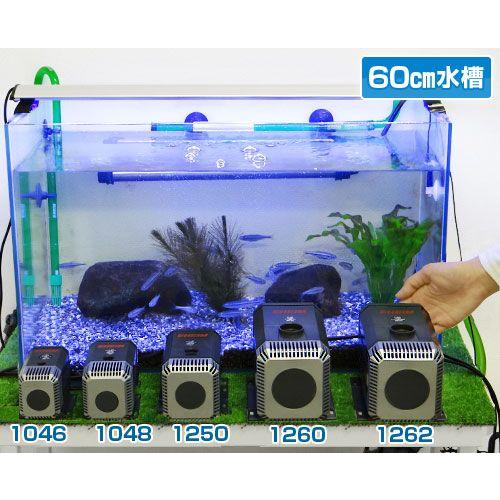 エーハイム 水陸両用ポンプ 1048 流量600l H 淡水 海水両用 Eheim 104 ミナト電機工業 通販 Paypayモール