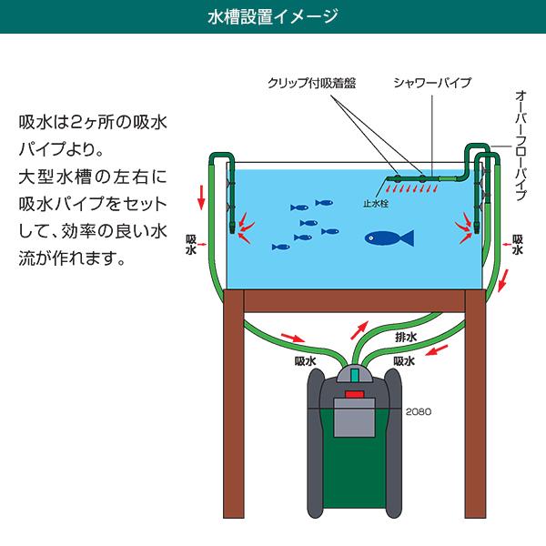 EHEIM エーハイム プロフェッショナル3 2080 (90cm以上の水槽用 EHEIM エーハイム プロフェッショナル3 2080 (90cm以上の水槽用