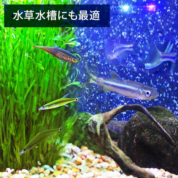 EHEIM エーハイム クラシックフィルター 2215 ろ材付セット EHEIM エーハイム クラシックフィルター 2215 ろ材付セット